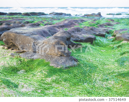 老梅綠石槽 老梅綠石槽 37514649