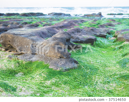 老梅綠石槽 老梅綠石槽 37514650