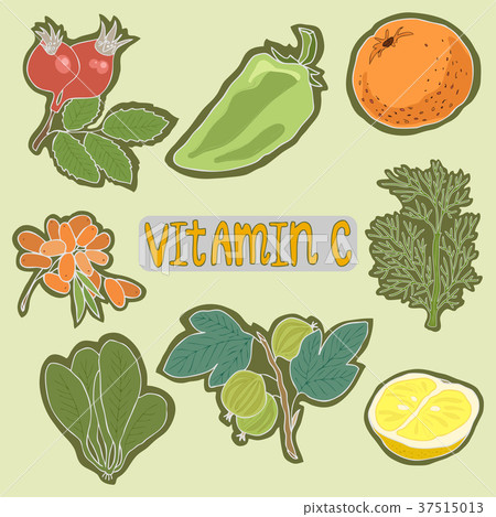 Set of Vitamin C foods healthy plan. Medical Set of Vitamin C foods healthy plan. Medical 37515013