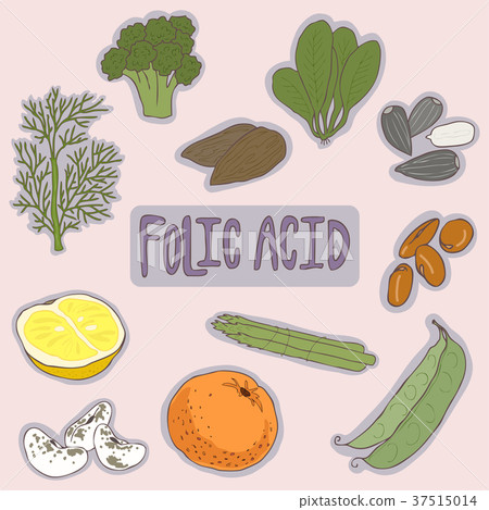 Set of Folic acid foods healthy plan. Medical Set of Folic acid foods healthy plan. Medical 37515014