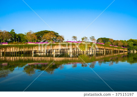 Stone Bridge in a park with lake on blue sky 37515197