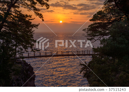 [東伊豆] Jogasaki漁橋日出 37515243