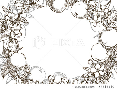 Vector card spring. Black and white blooming 37515419