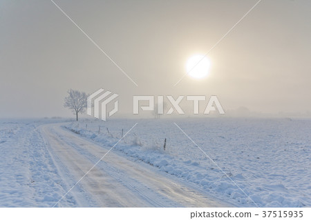 Winter landscape with trees snow wrapped and road Winter landscape with trees snow wrapped and road 37515935