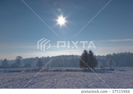 Winter landscape of small village Winter landscape of small village 37515988