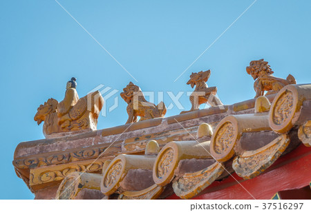 Roof in Summer Palace in Beijing Roof in Summer Palace in Beijing 37516297