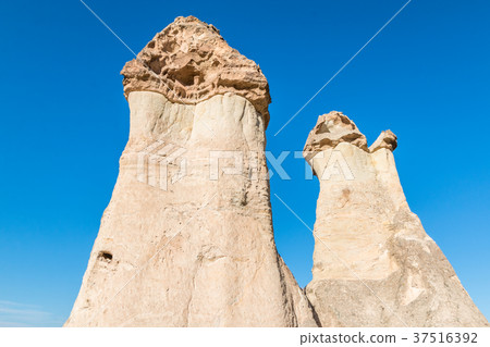 Fairy chimneys Cappadocia Turkey Fairy chimneys Cappadocia Turkey 37516392