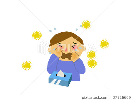 Illustration of hay fever, allergy. Illustration of hay fever, allergy. 37516669