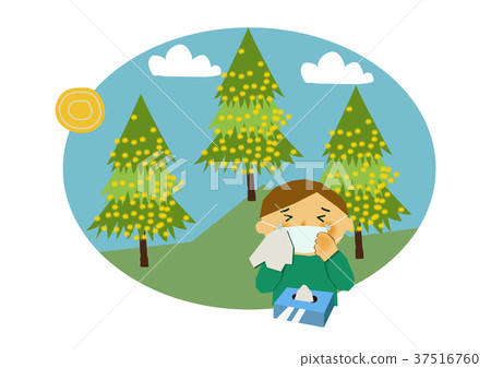 Illustration of hay fever and cedar. Image illustration of allergy. 37516760