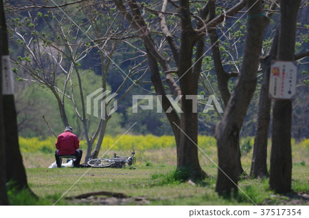 Man's holiday 37517354