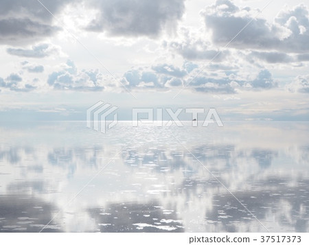 烏尤尼鹽湖奇觀 37517373