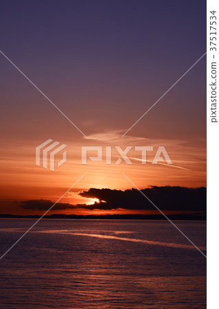 Sunset in Tokyo Bay Sunset in Tokyo Bay 37517534