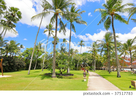 Hotel Garden Hotel Garden 37517783