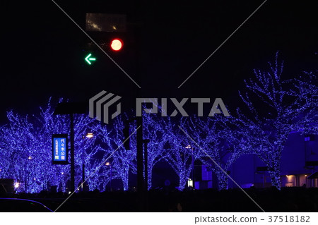 澀谷照明藍洞 37518182