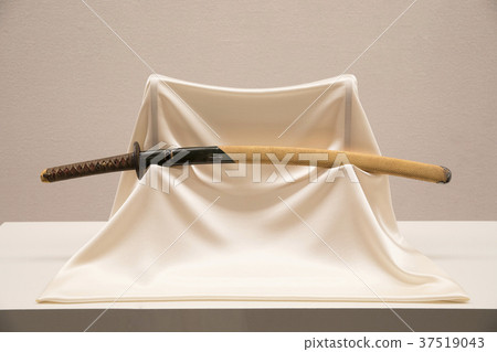 Hasebe Satoshi Hasebe 37519043