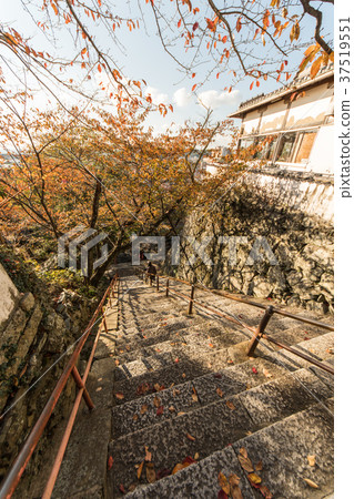 Kimi temple in autumn 37519551
