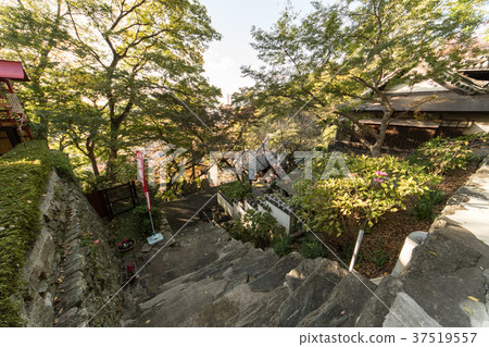 基米寺在秋天 37519557