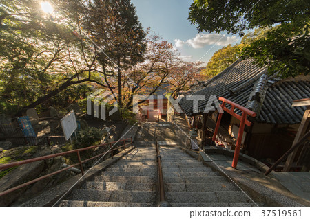 基米寺在秋天 37519561