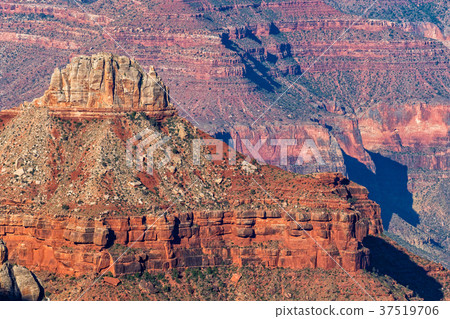 Grand Canyon North Rim Grand Canyon North Rim 37519706