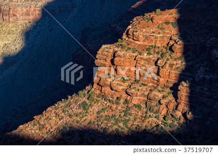 Grand Canyon North Rim 37519707