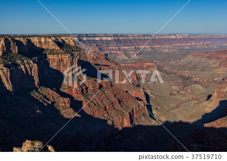 Grand Canyon North Rim Grand Canyon North Rim 37519710
