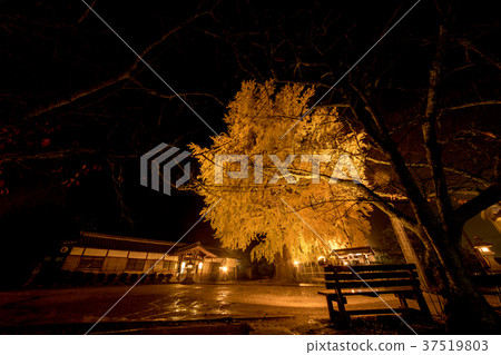 點燃Niyu Shuden Shrine Shinkan 點燃Niyu Shuden Shrine Shinkan 37519803