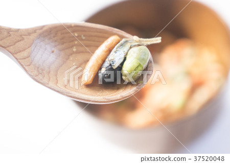 健康堅果 37520048