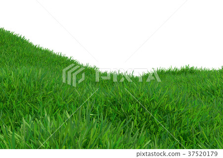 Green grass growing on hills with white background - Stock Illustration ...