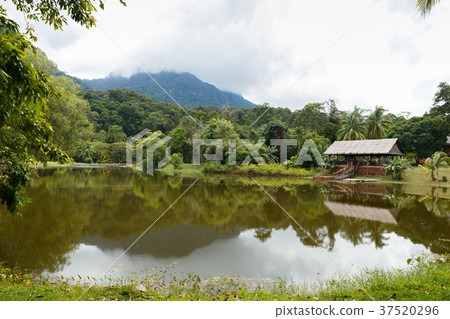 sarawak cultural village 37520296