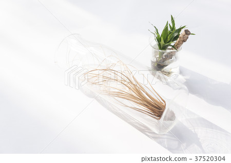 Air pineapple 37520304