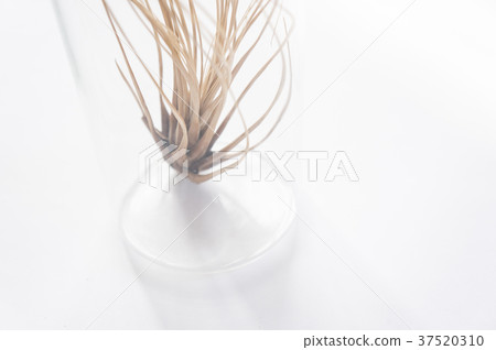 Air pineapple 37520310