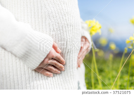 Mid-pregnancy 37521075