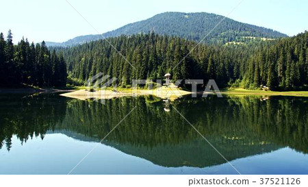 Lake Synevir in Carpathian Mountains in Ukraine 37521126