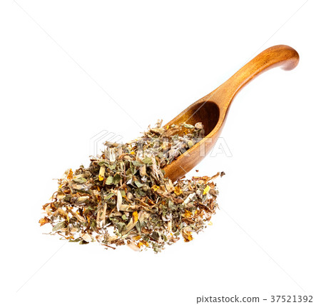 Genistae herba for medical use on wooden spoon 37521392