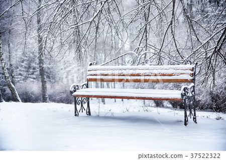 Park bench and trees covered by heavy snow 37522322
