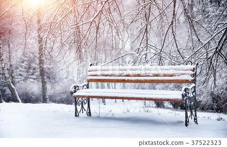Park bench and trees covered by heavy snow 37522323