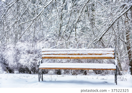 Park bench and trees covered by heavy snow 37522325