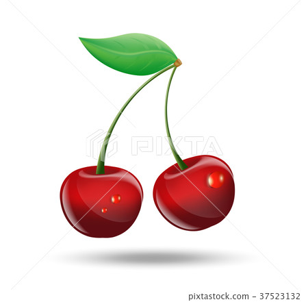 picture of cherries on white background picture of cherries on white background 37523132