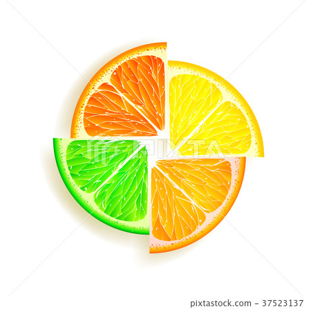 lemon, orange, lime and grapefruit lemon, orange, lime and grapefruit 37523137