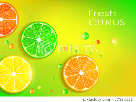 orange, lemon, lime and grapefruit orange, lemon, lime and grapefruit 37523138