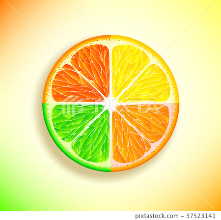 lemon, orange, lime and grapefruit lemon, orange, lime and grapefruit 37523141
