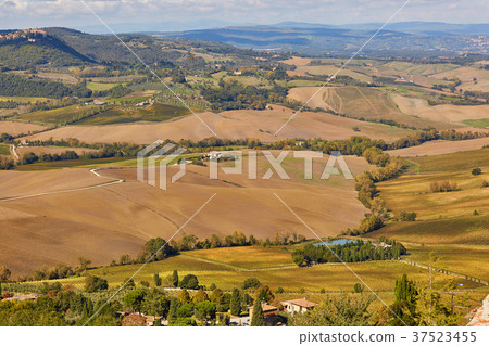 Landscape of San Quirico d'Orcia, Tuscany, Italy Landscape of San Quirico d'Orcia, Tuscany, Italy 37523455