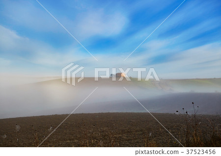 Landscape of San Quirico d'Orcia, Tuscany, Italy Landscape of San Quirico d'Orcia, Tuscany, Italy 37523456