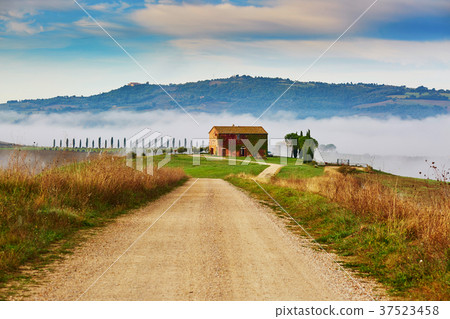 Landscape of San Quirico d'Orcia, Tuscany, Italy Landscape of San Quirico d'Orcia, Tuscany, Italy 37523458