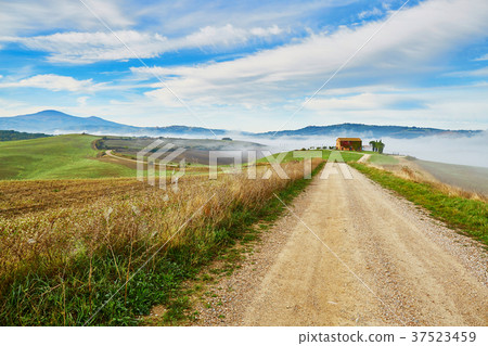 Landscape of San Quirico d'Orcia, Tuscany, Italy Landscape of San Quirico d'Orcia, Tuscany, Italy 37523459
