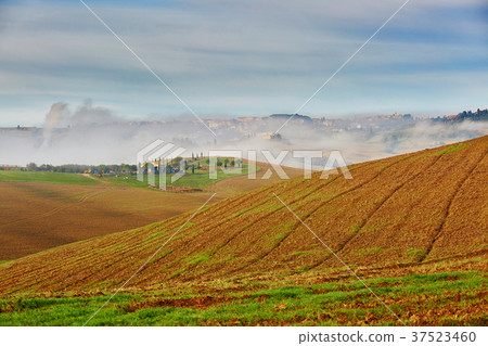 Landscape of San Quirico d'Orcia, Tuscany, Italy Landscape of San Quirico d'Orcia, Tuscany, Italy 37523460
