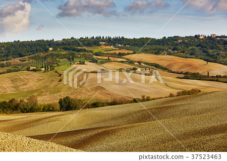 Landscape of San Quirico d'Orcia, Tuscany, Italy Landscape of San Quirico d'Orcia, Tuscany, Italy 37523463