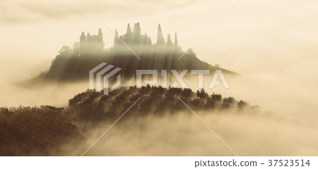 Drowned in the fog 37523514