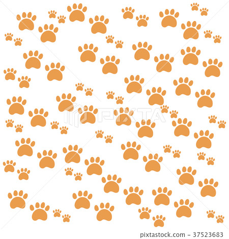 Nice picture of wild animal traces Nice picture of wild animal traces 37523683