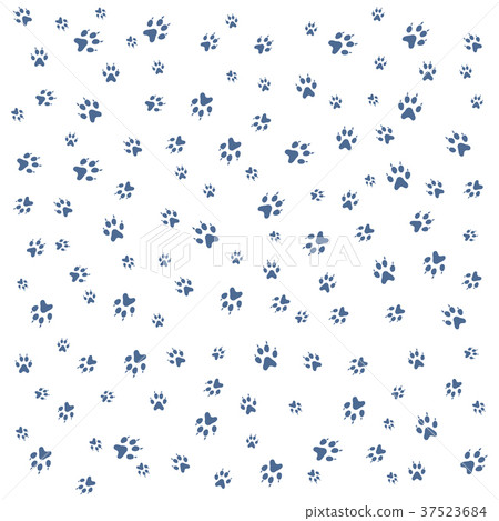 Nice picture of wild animal traces Nice picture of wild animal traces 37523684